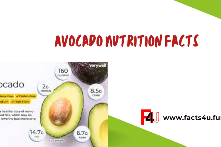 Avocado Nutrition Facts