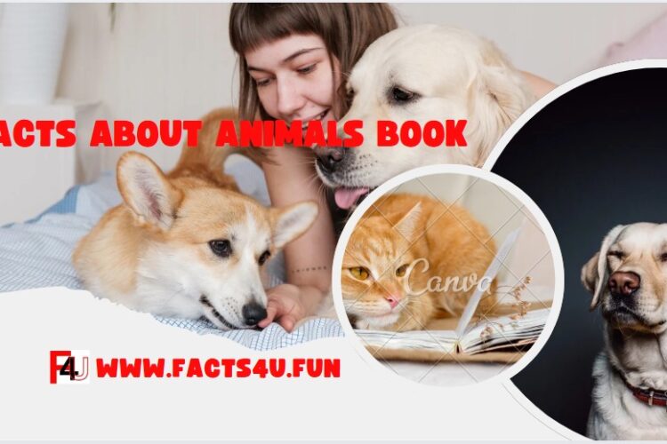 Facts About Animals Book