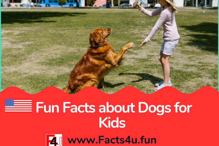 Fun Facts about Dogs for Kids